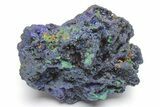 Sparkling Azurite and Malachite Crystal Association - China #217673-1